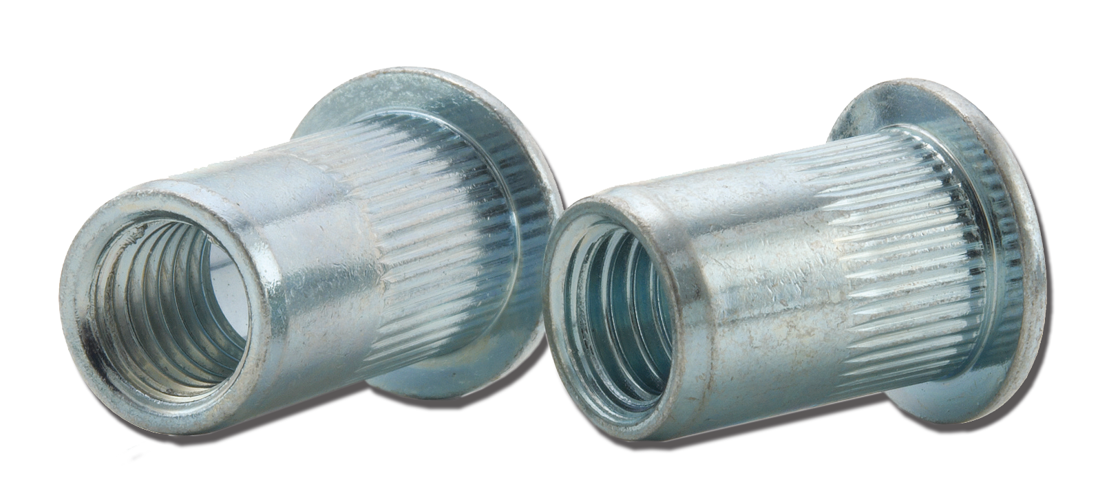 PSZFON_M12_group_02.png