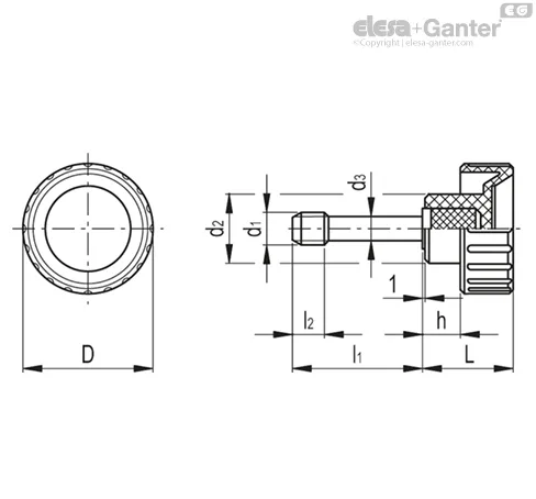 BT-HP.25-p-M6x32