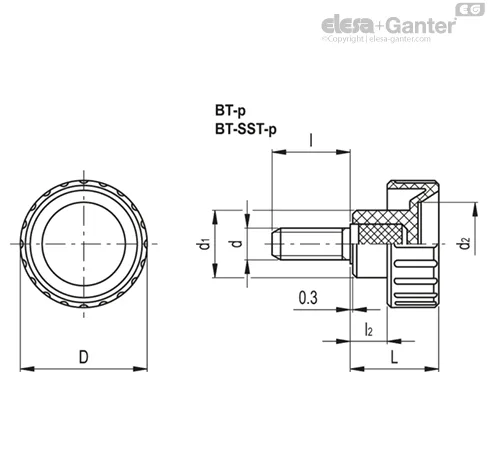 BT.16-SST-p-M3x6