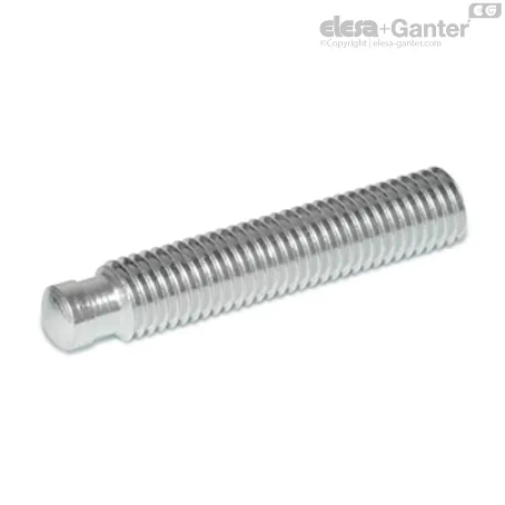 DIN 6332-M20-80-SKN-NI