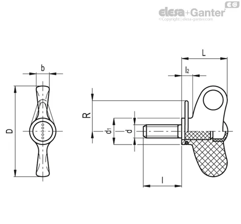 EWN.55-p-M10x30-RC-C1