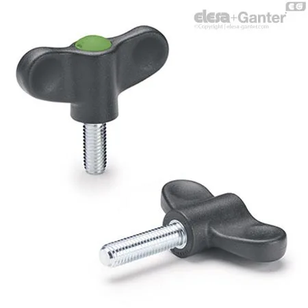EWN.55 p-M10x30-C17