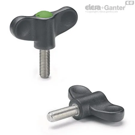 EWN.63 SST-p-M10x30-C17