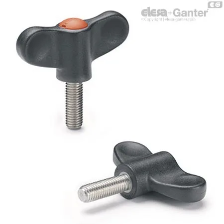 EWN.48 SST-p-M8x40-C2