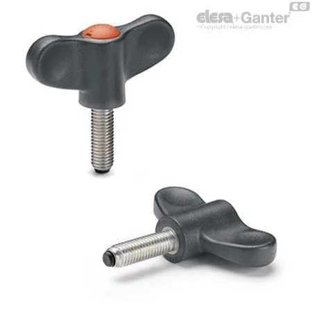 EWN.55 SST-p-M8x30-PB-C2