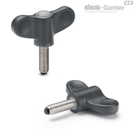 EWN.48 SST-p-M6x30-PO-C3