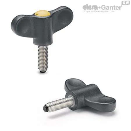 EWN.48 SST-p-M6x20-PB-C4