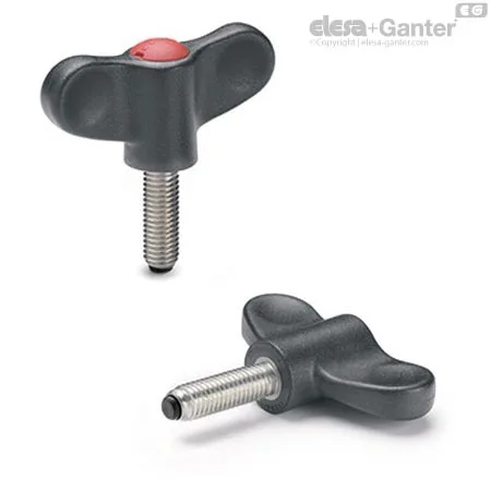 EWN.55 SST-p-M8x30-PO-C6
