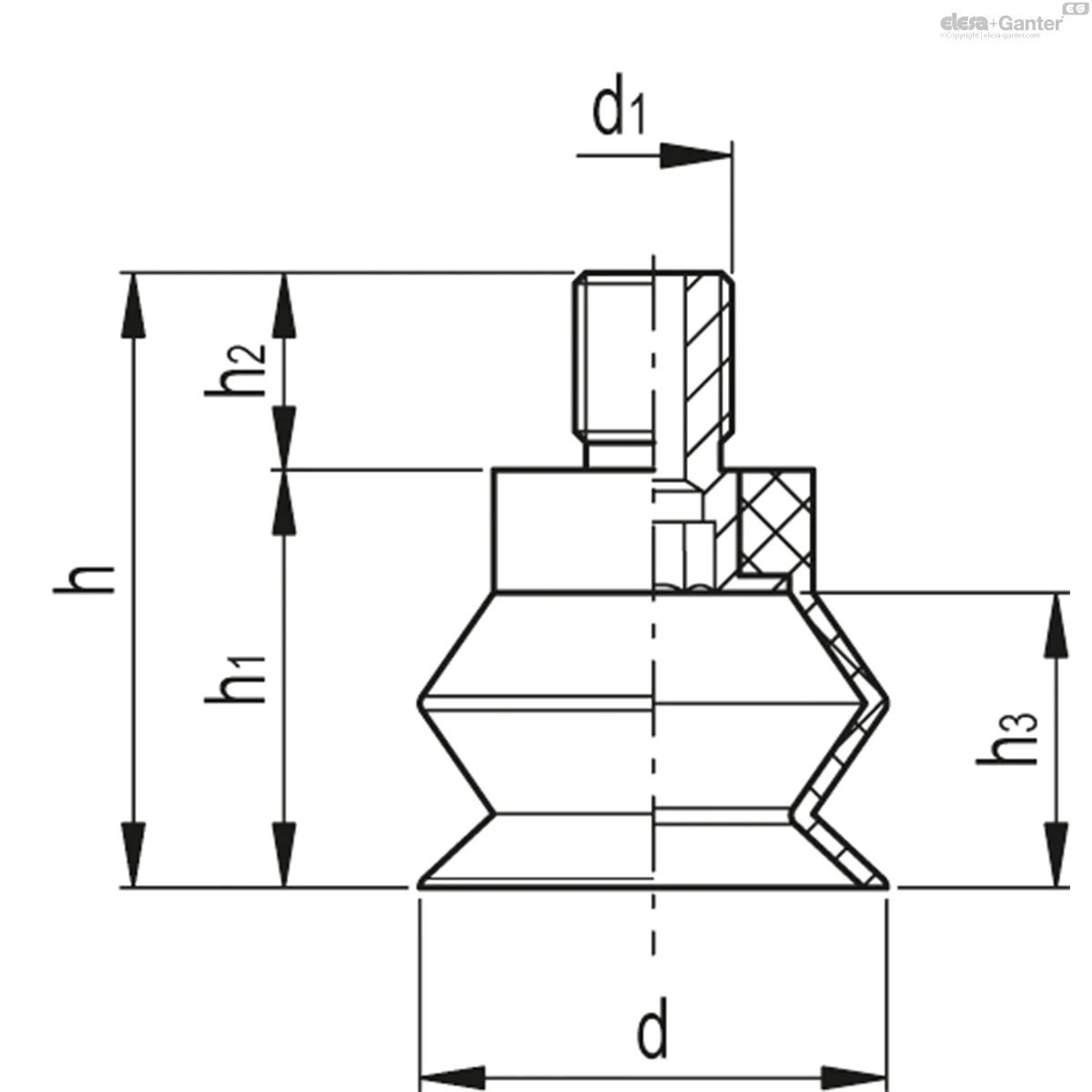 VVL-19-M6-T-S
