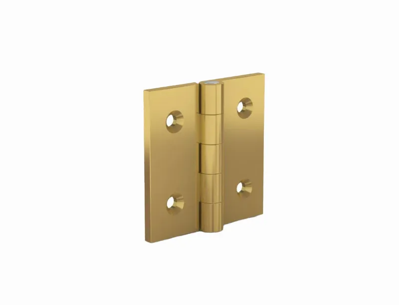 Pinet mini hinges