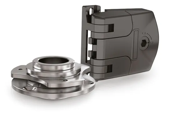 Special hinges