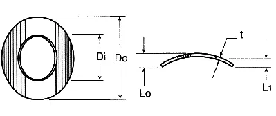 Curved spring washers