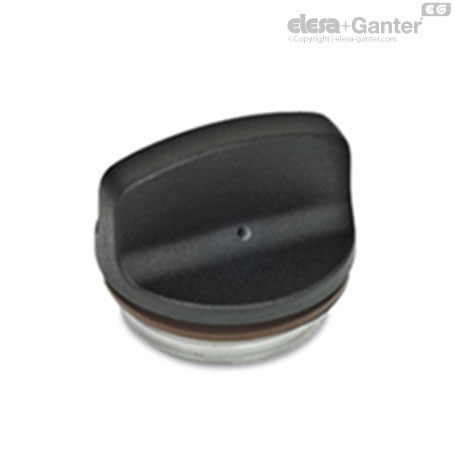 GN 442-22-G3/8-2-SW