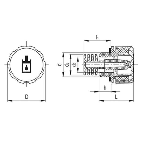 SFX.40-1+P+F