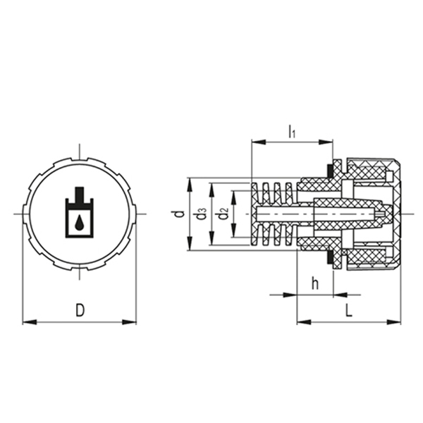 SFX.30-M20x1,5+P